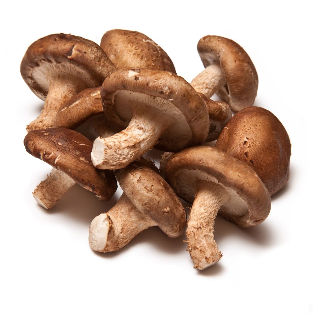 Популярные грибы Азии